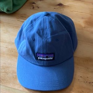 Patagonia Cap